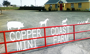 Copper Coast Mini Farm